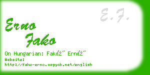 erno fako business card